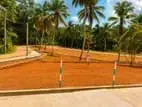 Land for Sale in Walgammulla M06