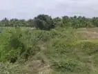 Land for Sale in Puttalam