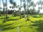 Land for Sale in Polgahawela M08