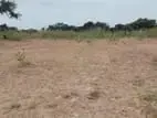Land for Sale Nilaveli