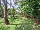 Land for Sale Boralesgamuwa Katuwawala