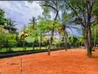 Midigama සoචාරක පාරාදීසයෙන් විකිණිමට අගනා බිම් කොටස්