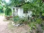 3 Bedroom House For Sale Walpola Adiambalama Katunayake Gampaha