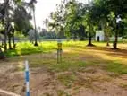 Valuable Land for Sale in Mellawagedara P12