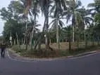 (DL1336) 61 Perch Land for Sale in Balummahara, Gampaha