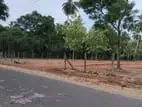 ඉඩමක් අනුරාධපුර