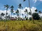 Land for Sale in Divulapitiya