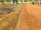 Land for Sale in Maradankadawala Town