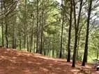 Land for Sale in Kithalella