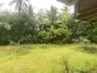 Land For Sale Mountlavinia