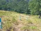 LAND FOR SALE PUSSELLAWA