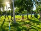 Divlapitiya Land for Sale P6