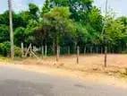 Land for Sale in Anuradapura