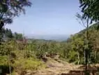 මනස්කාන්ත භුමියක පිහිටි ඉඩම් විකිණීමට - Haputale