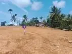 Land for sale in Aluthwala