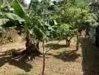 18 PERCH LAND FOR SALE in PANNIPITIYA
