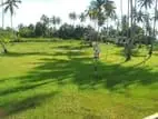 Developed Residential Property in Polgahawela P2