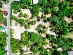 Midigama Surfing Beach Side Land For Sale