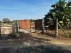A residential land for sale in Thannamunai