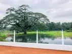Land for Sale in Melsiripura M04