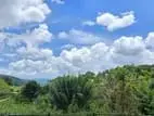 5 Blocks Land For Sale in Heeressagala
