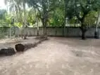 HHL1047 - Land for sale in Palameenmadu