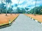 Best Valuable Land for Sale Ja Ela