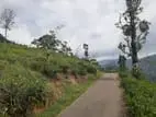 Mountain View Land for sale in Pundaluoya