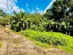 Land for sale in Balummahara