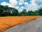Luxury Land for Sale in Nawagamuwa 🍃