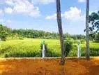 Paddy Field Face Land in Attanagalla Mb03