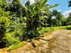 perfect land for sale in Imbulgoda Gampaha