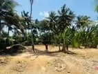 Land For Sale | Ahangama 83 Perches