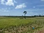 காணி விற்பனை Vaddukoddai