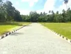 බෙලිඅත්ත රෝහලට ආසන්න ඉඩමක්