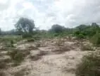 HHL1117 - Land for sale in Thannamunai