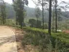 Land for sale in Pussellawa
