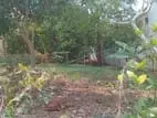 Highly Residential Land for Sale in Papiliyana