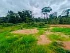 ප්‍රධාන පාරට ඇවිද යන දුරින් බිම් කොටසක් ලක්ෂ 21 / HL 15196