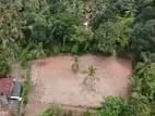 Valuable 38-Perch Land for Sale in Dunagaha, Minuwangoda