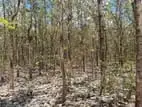 Land for sale in Anuradhapura / SA 12652