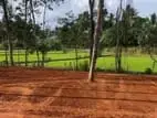 Veyangoda Land for Sale