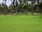Land for Sale in Pannala U04