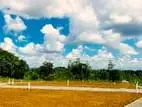 Best Land for Sale in Nawagamuwa 🍃