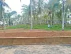 අහ‍ංගම සංචාරක කලාපයට ආසන්නයේ බිම් කොටස් විකිණීමට