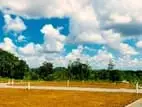 Best Land For Sale In Nawagamuwa