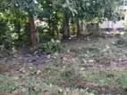 විකිණීමට ඇති ඉඩම රත්මල්ගම
