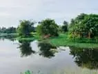 (AFA423) 13.5 P Land Sale At Suriyamal Mawatha Delkada Nugegoda