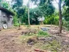 Gampaha Land Sale