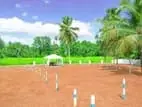 Dambadeniya Land for Sale P2